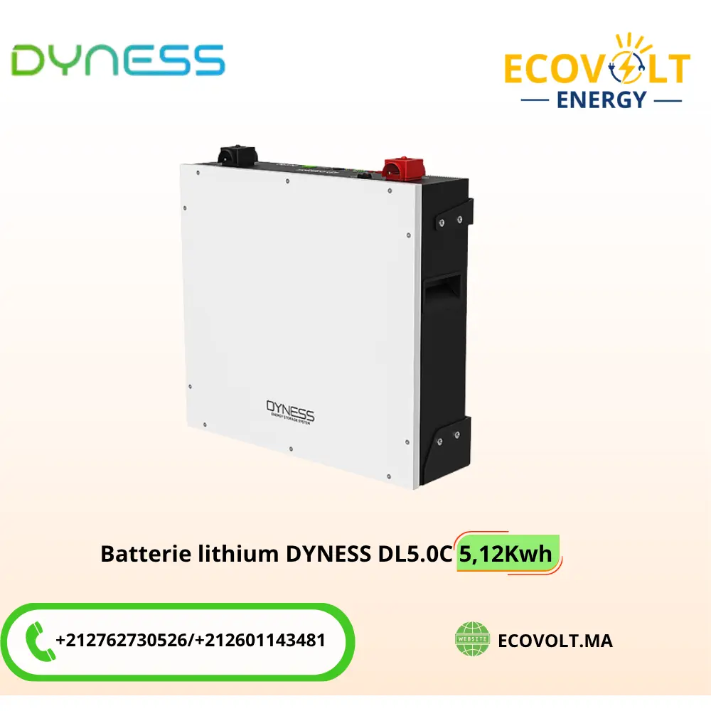 BATTERIE LITHIUM BON PRIX MARIC